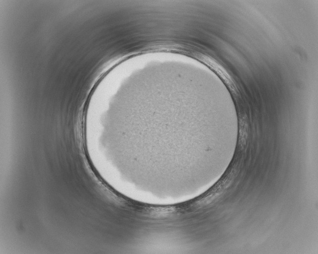 X0000115031055200912071044