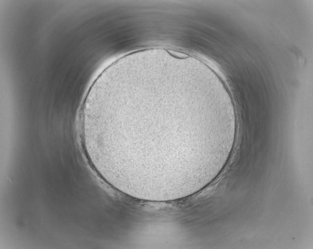 X0000115031056200912071044