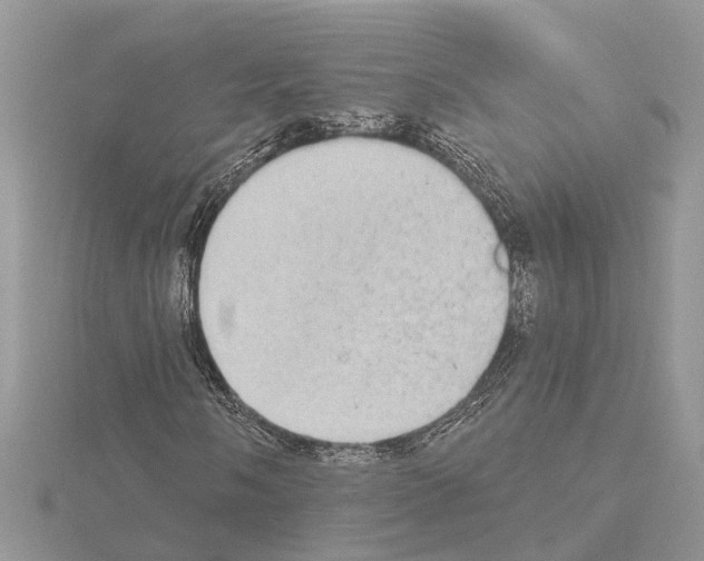 X0000115031058200912071044