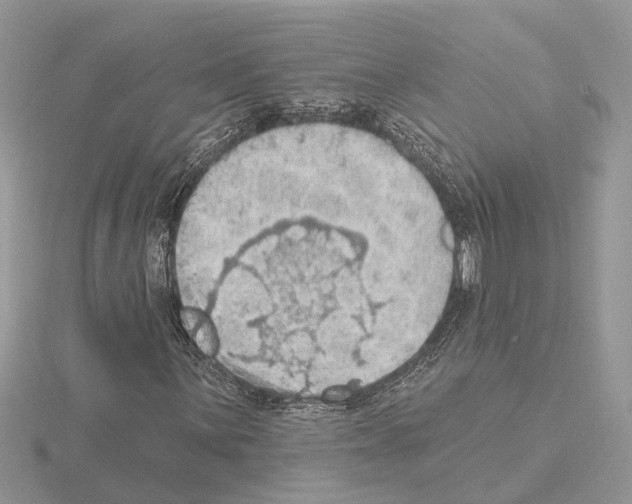 X0000115031059200912071044