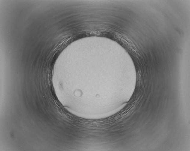 X0000115031060200912071044