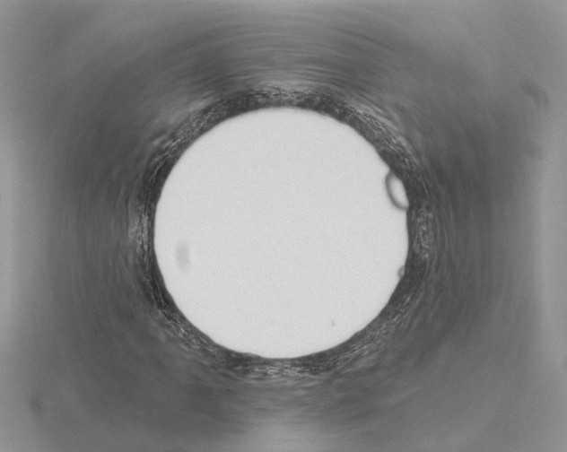 X0000115031061200912071044