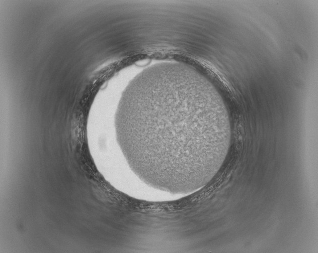 X0000115031063200912071043