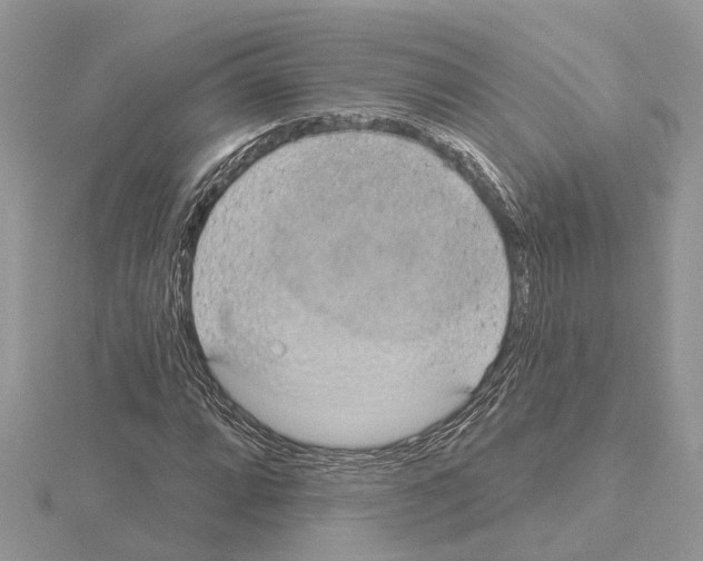 X0000115031064200912071043