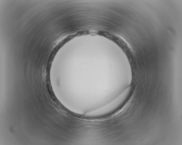 X0000115031065200912071043