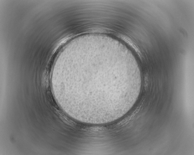 X0000115031067200912071043