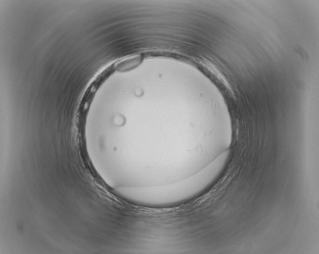 X0000115031068200912071043