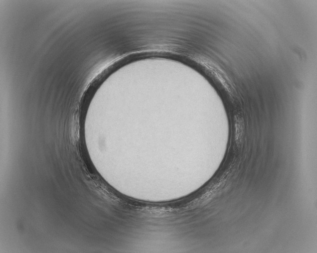 X0000115031069200912071043