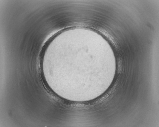 X0000115031070200912071043