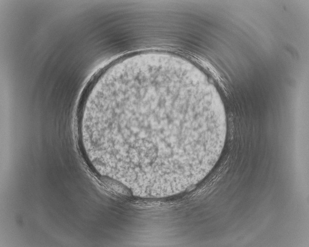 X0000115031072200912071043