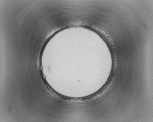 X0000115031073200912071043