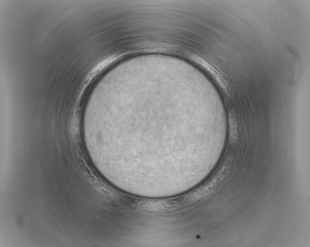 X0000115031074200912071043