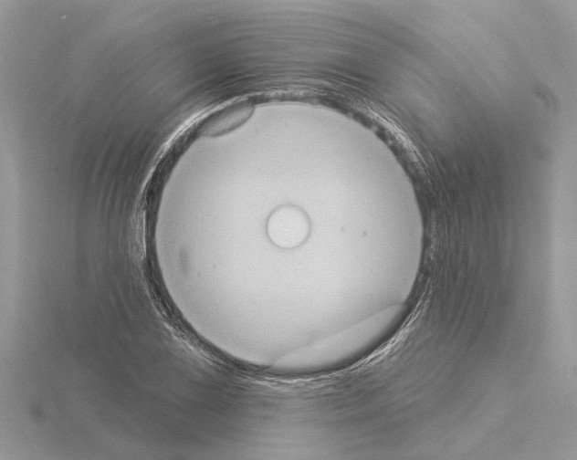 X0000115031075200912071043