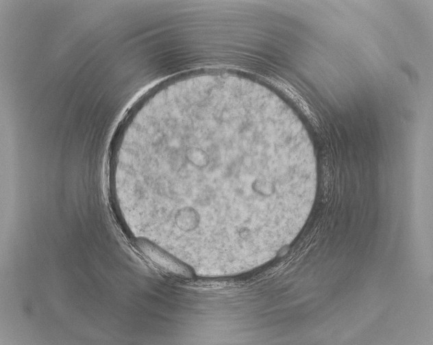 X0000115031076200912071043