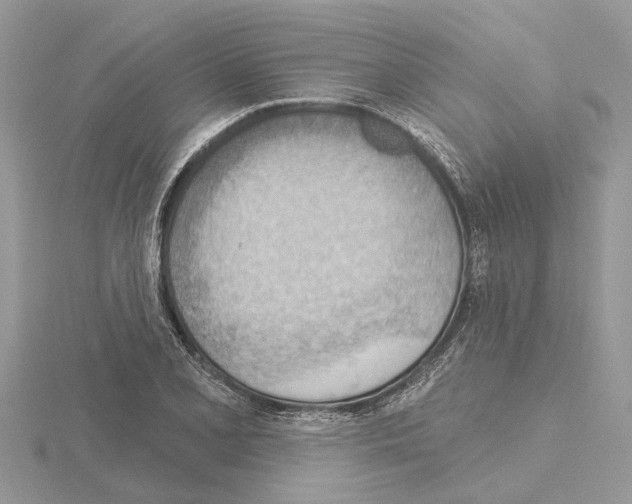 X0000115031077200912071043