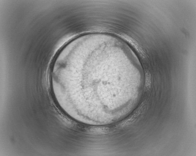 X0000115031078200912071043