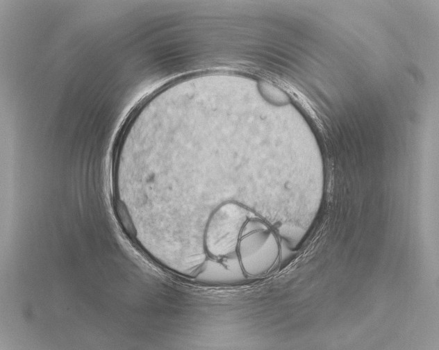 X0000115031080200912071043