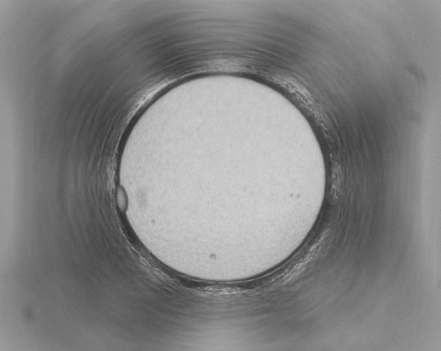 X0000115031081200912071043