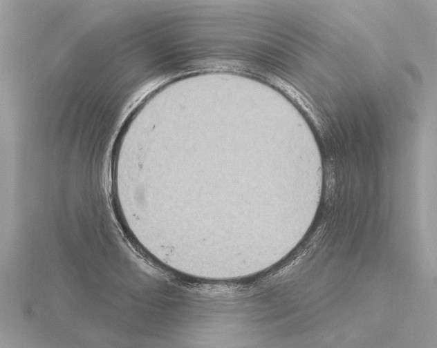 X0000115031082200912071043