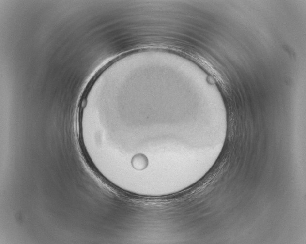 X0000115031084200912071043