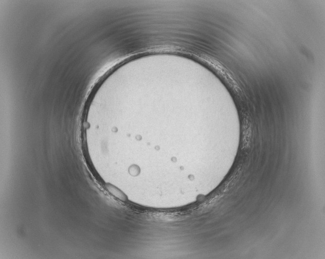 X0000115031086200912071043