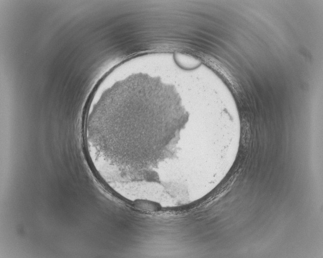 X0000115031087200912071043