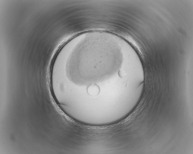 X0000115031088200912071043