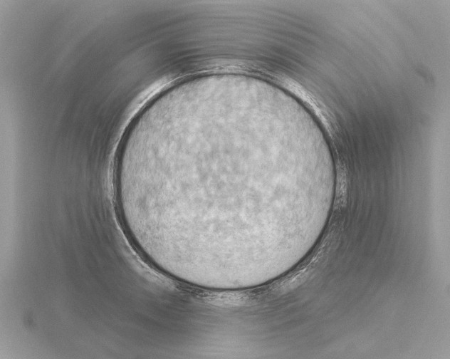 X0000115031090200912071043