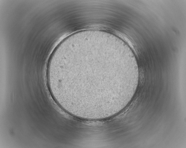 X0000115031091200912071043