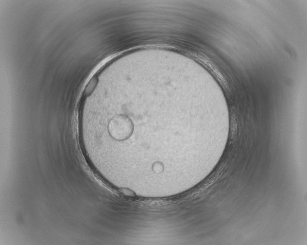 X0000115031092200912071043