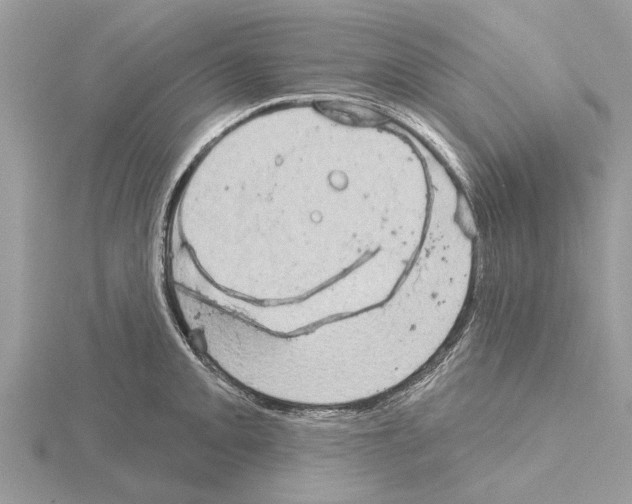 X0000115031093200912071043