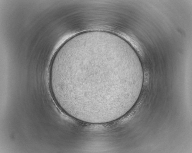 X0000115031094200912071043