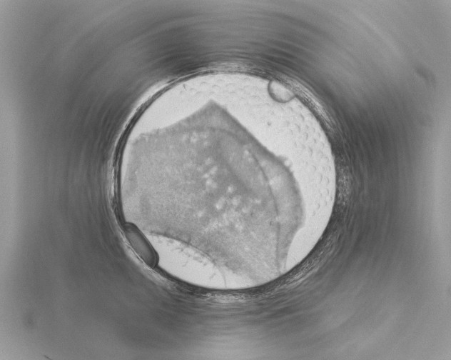 X0000115031095200912071043