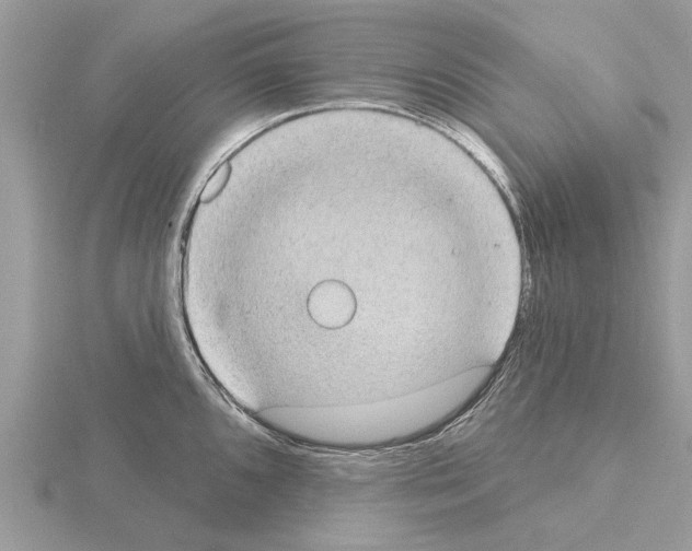 X0000115031096200912071043