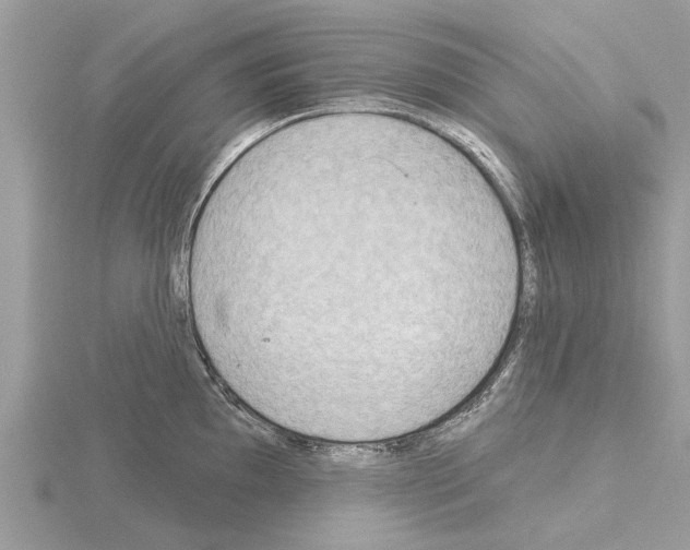 X0000115031097200912071043