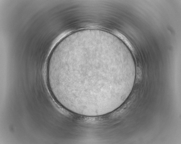 X0000115031098200912071043