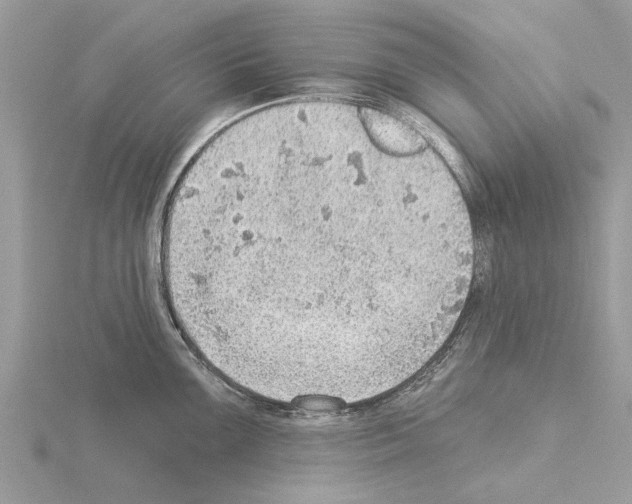 X0000115031099200912071043