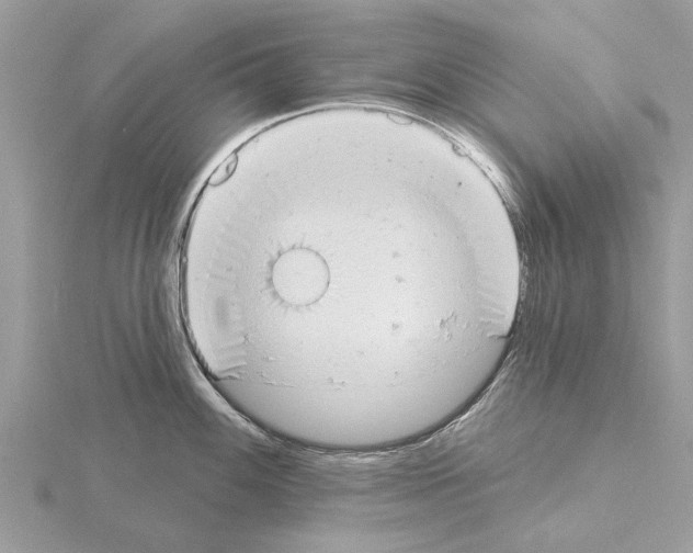 X0000115031100200912071043