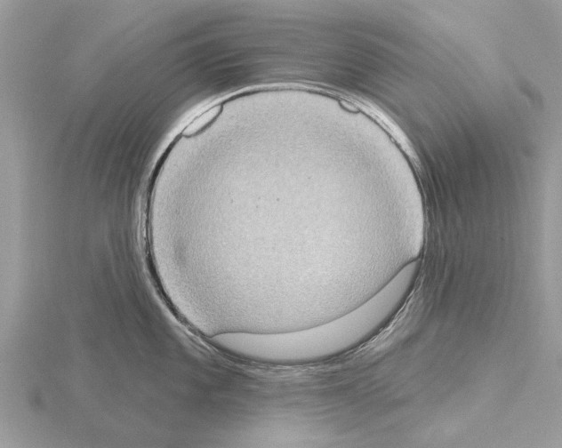 X0000115031101200912071043