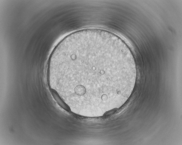 X0000115031102200912071043