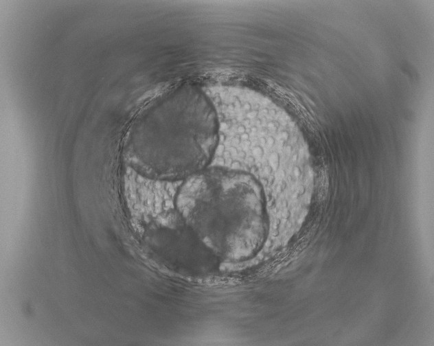 X0000115031105200912071042