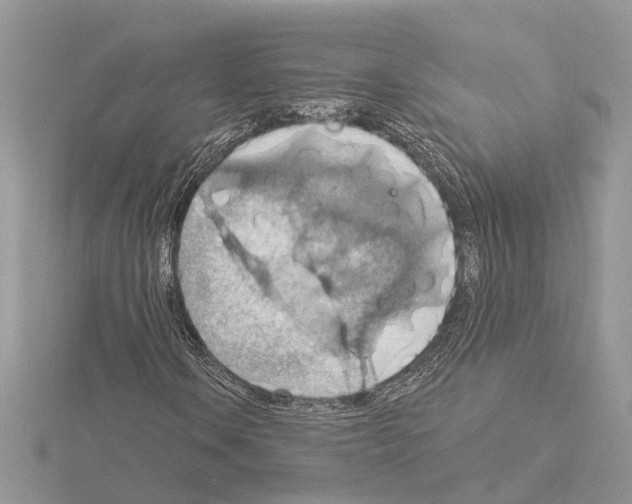 X0000115031106200912071042