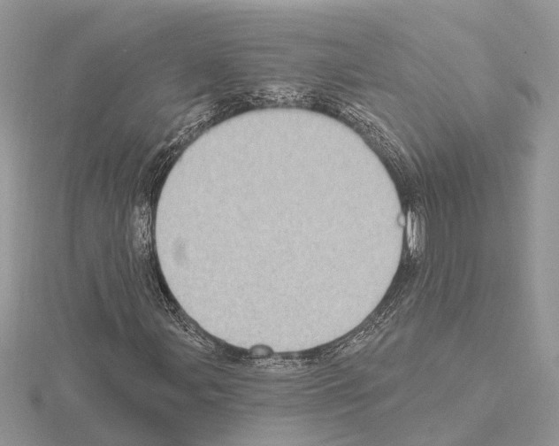 X0000115031107200912071042