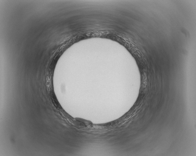 X0000115031109200912071042