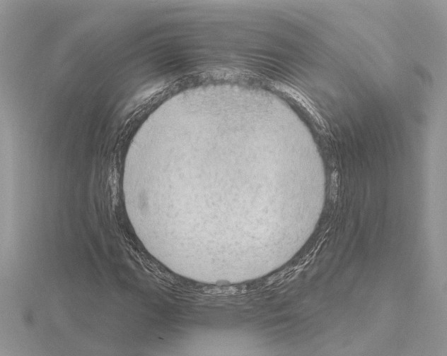 X0000115031111200912071042