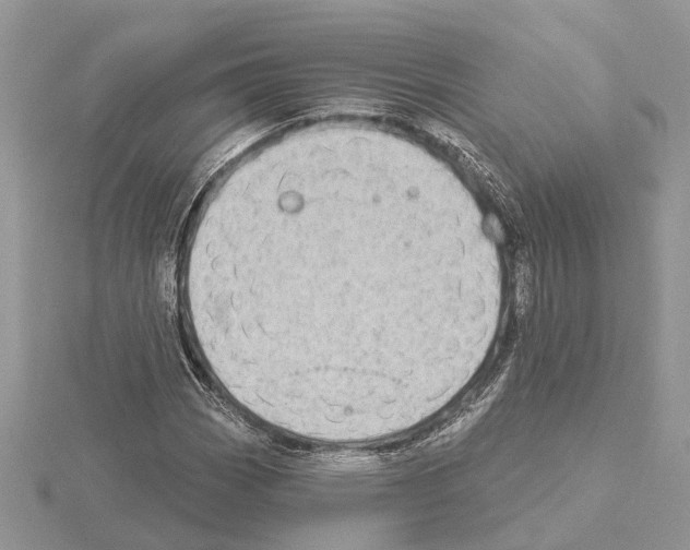 X0000115031113200912071042