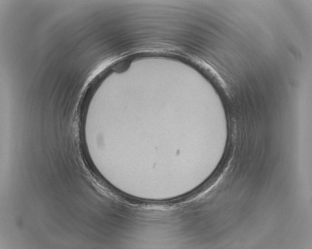 X0000115031114200912071042