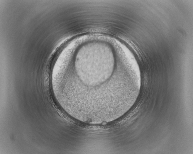 X0000115031115200912071042