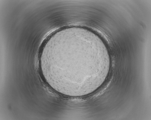 X0000115031117200912071042