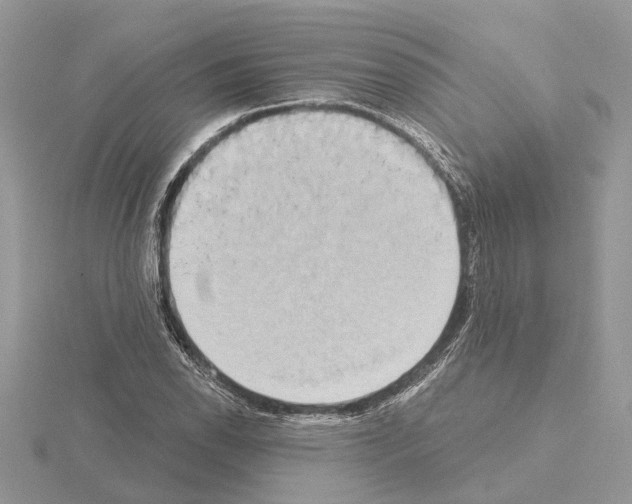 X0000115031118200912071043